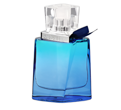 Shalis Man EDT 100ml by Remy Marquis